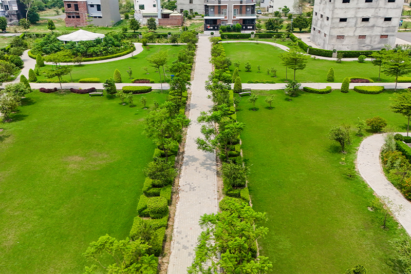 Park Avenue Community Park & Walking Track